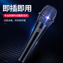 Moving coil mic capacitor Mic large diaphragm E300 microphone microphone (old customer sound card special new customer do not shoot)