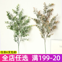 Long Branches Flocking Yougali Money Leaf Emulation Florist Residence Decoration Plant Fake Flowers have the high quality of the Galilee