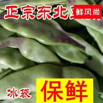 Northeast oil beans fresh specialty freshly picked vegetables boiling pot rotten with box 5kg plus ice bag delivery fresh water spirit