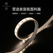 First-known Lighting led light strip 5050 patch LED light strip living room ceiling highlight 220V soft light bar customization