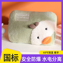 Pioneer hot water bag charging cute cartoon female explosion-proof warm hand baby injected hydrothermal electric heating baby