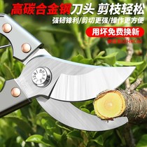 Fruit Wood scissors cut branches cut flowers plants flowers trees gardening pruning shears garden fruit trees