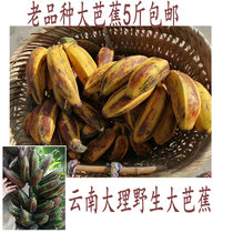 Fresh plantain Yunnan Dali Yangbi wild 5 pounds edible agricultural products July No October December 1 week