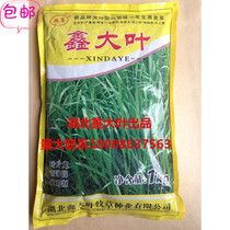 Xin Daye four-season green perennial ryegrass imported high-yield cattle grass carp grass seeds forage seed package germination direct sales