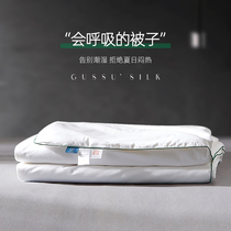 Silk quilt 100% mulberry silk cotton air conditioning summer quilt cotton spring and autumn quilt thin quilt 3kg 4kg 5kg 6kg