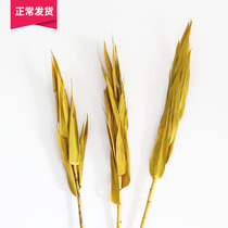 (Mountain Tree) Golden Dry Branches Leaves Yellow Leaf imported dry flower Multi-branch Flowers Genuine Flowers Matching Dry Branches