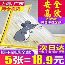 Rodenticide strong force type a1 lure real fit mouse sticky mouse board patch board strong magic carpet repelling mouse 10 pieces