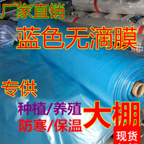 High quality whole roll blue plastic film Anti-aging non-drip film Transparent thickened greenhouse film Planting and breeding insulation film