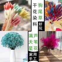 Dye Reed Dyeing Dyeing Dyeing Dyeing Dyeing Dry Flowers for Dry Flowers