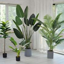 artificial plant potted indoor tree living room decoration