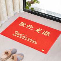 Lanshi spinneret outdoor dust removal welcome doormat Large floor mat foot pad 120*150CM
