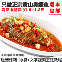 (2) smelly Chinese perch (Siniperca chuatsi) Huangshan Smelly mandarin fish net carcass from about 1 to about 6~1 8kg authentic Anhui specialty Huizhou Mandarin fish