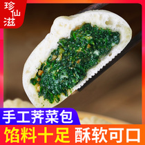 Handmade shepherds purse buns nutritious breakfast frozen buns early shepherds purse fresh meat buns 100g steamed buns