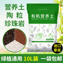 Magic Bean Vegetable Garden Gardening Universal Nutraceutical Ceramite Perlite Family Organic Soil Flower Pot Balcony Seed of the Vegetable God