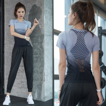  Yoga clothes female summer loose temperament fairy quick-drying clothes beginner gym running net red sports suit female