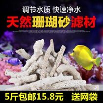 Fish tank aquarium building Scape Alkaline Coral Sand Coral Stone Bone Natural White Bottom Sand Filter Box filter Material filter