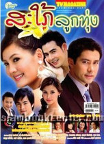 DVD version Thai Erfu Village] Thai Chinese characters All 15 episodes 3 discs
