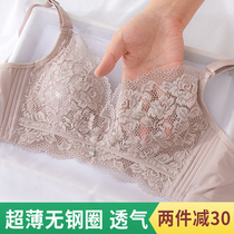 Comfort Fruits Free steel ring No sponge Female lingerie ultra-thin Lace Bra Big Chest small Poly Summer Season Bra