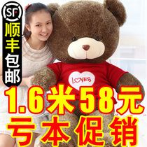 Large teddy bear Panda doll plush toy Ragdoll hug bear Girl doll Big bear cute sleeping hug