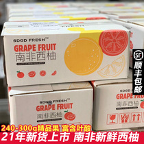 (New) South African red heart grapefruit fresh pregnant women season fruit grapefruit small grapefruit Grapefruit