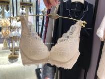 Huasong Gold Label Brief About No marks Thick Coalit to Round Smooth Without Steel Ring Bra WB1140 Domestic