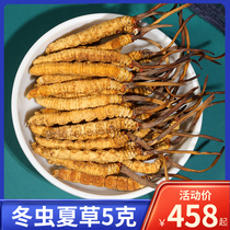 Cordyceps sinensis flagship store dry goods whole root without broken grass head period Cordyceps 5 grams 5 grams
