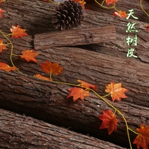 Natural bark bag pipe decorated bark bark green new bark to take picture background large bark