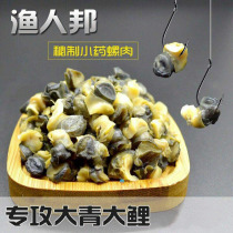 Fishing bait small medicine snail meat herring bait bait black pit reservoir grass carp carp crucian carp