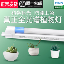 Philips full spectrum LED plant growth lamp Household fleshy fill light lamp color imitation sunlight cooperation