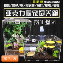 Reptile box transparent acrylic feeding box hermit crab spider horned frog guard Palace BAO WEN lizard crawl breeding box
