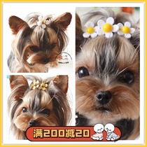 Special ~ Kawoi implode Japan small daisy pet hair clip pooch hair clip headwear Teddy Yorkha hairpin