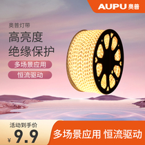 Aopu LED light with living room ceiling white light decoration household soft light outdoor waterproof 220v line light highlight