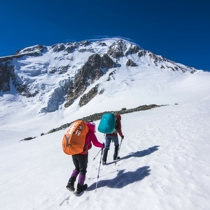 Rampage Donkey Exclusive Backpack Cover