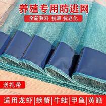 Farming anti-escape net plastic mesh cloth brace cord retinal shrimp shrimp pool mesh crab