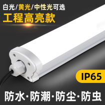 led strip integrated waterproof strip three anti cold storage lamp low pressure 24V220V workshop factory super bright fluorescent fluorescent lamp