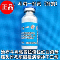 Cockfighting medicine cockfighting fainting cockfighting sick cockfighting runny nose cockfighting treatment medicine Yunnan cockfighting Myanmar Thai chicken