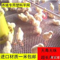 Chicken with fecal leakage ducks and geese with the advance of thick plastic lou fen network chicken equipment House floor farming instrument
