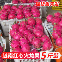 Vietnam red heart pitaya 5kg fresh red meat pitaya big fruit seasonal fruit wholesale