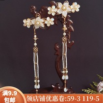 Hanfu accessories costume clip tassel step shake hair jewelry ancient wind headdress Super fairy hairclip clip ancient edge clip hairpin