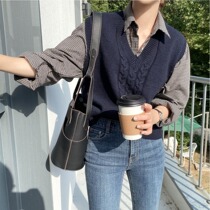 2021 Spring and autumn new ladies trendy fashion design sensation small crowdwear vest knit waistcoat for autumn and winter horse