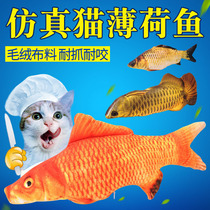 Cat toys Catnip fish pillow Cat pillow Pet simulation cat fish toy PLUSH funny cat stick Cat supplies