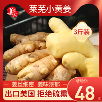  Ginger boss Laiwu ginger turmeric old turmeric ginger 3 kg old ginger mother farm fresh vegetable seasoning