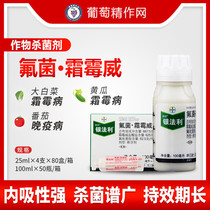  German Bayer Silver Farley downy mildew Vefopiramide Cucumber grape late and early blight downy mildew pesticide fungicide