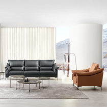 Totoro Xiansen Nuoyiwei series light luxury leather cloth combined with sofa living room modern minimalist sofa combination
