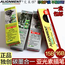 Aillegan Tong Matte Sketch Pencil 12B14B15B16B Art Carbon Ink Painting Brushes Sketch Pen