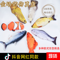 Cross-border explosive cat simulation fish Cat Toy usb charging jump fish with catnip