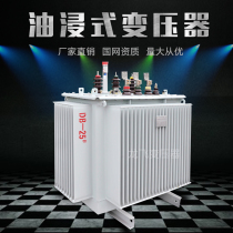 10 kV oil-immersed power transformer S11 type 100 kVA 125 160 200 250 315KVA