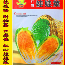 Shen Meng red heart baby vegetables seeds grow rapidly in the core sweet orange red gold you fan yellow heart baby vegetables