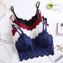  Summer sexy lace breast wrap bandeau summer without steel rim bottoming beautiful back girl bra underwear suspender small vest female
