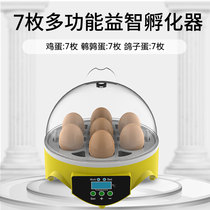 Artificial parrot incubator warming machine hatching breeding eggs Breeding pigeon eggs Commercial box ovulation machine Ostrich egg turning chicken